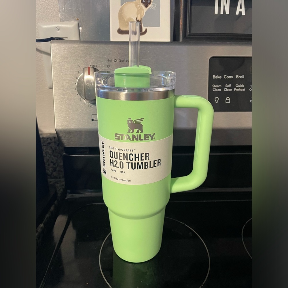 Stanley Feather Green 30oz